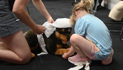 Child wrapping a bandage on a toy dog