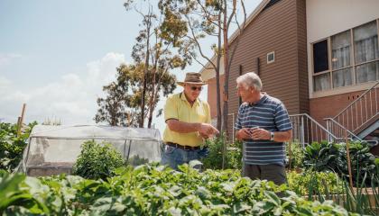 Two older men talking in a vegetable garden 