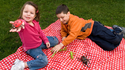 Two children on a picnic rug, paying with toy bugs